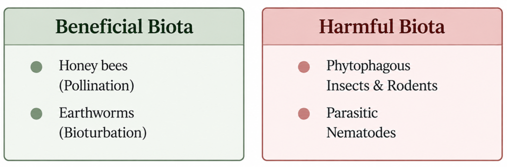 Beneficial and Harmful Biota