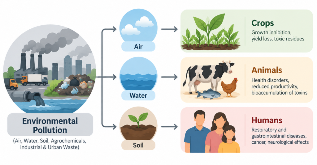 Environmental pollution and associated hazards to crops, animals, and humans