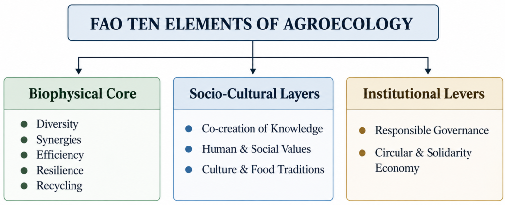 FAO Ten Elements of Agroecology