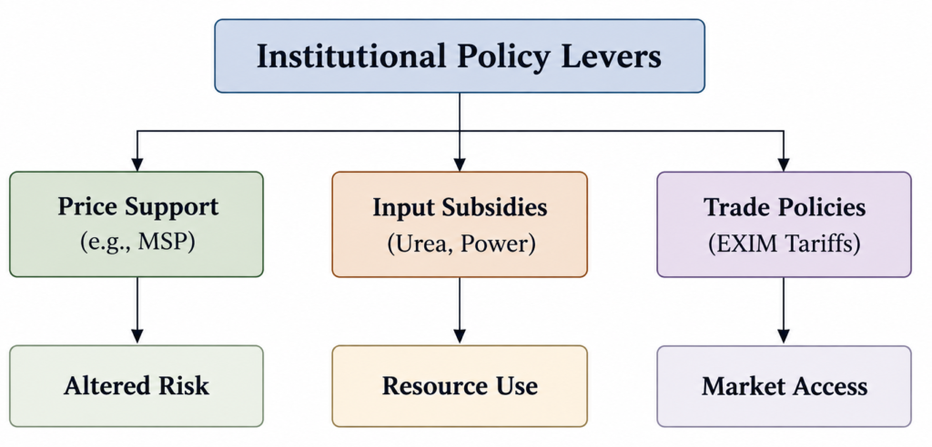 Institutional Policy Levers Flowchart