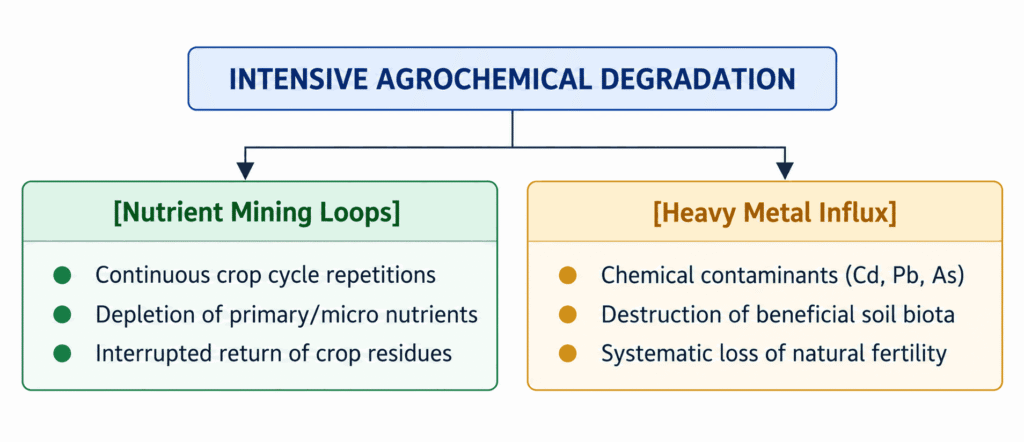Intensive Agrochemical Degradation Flowchart