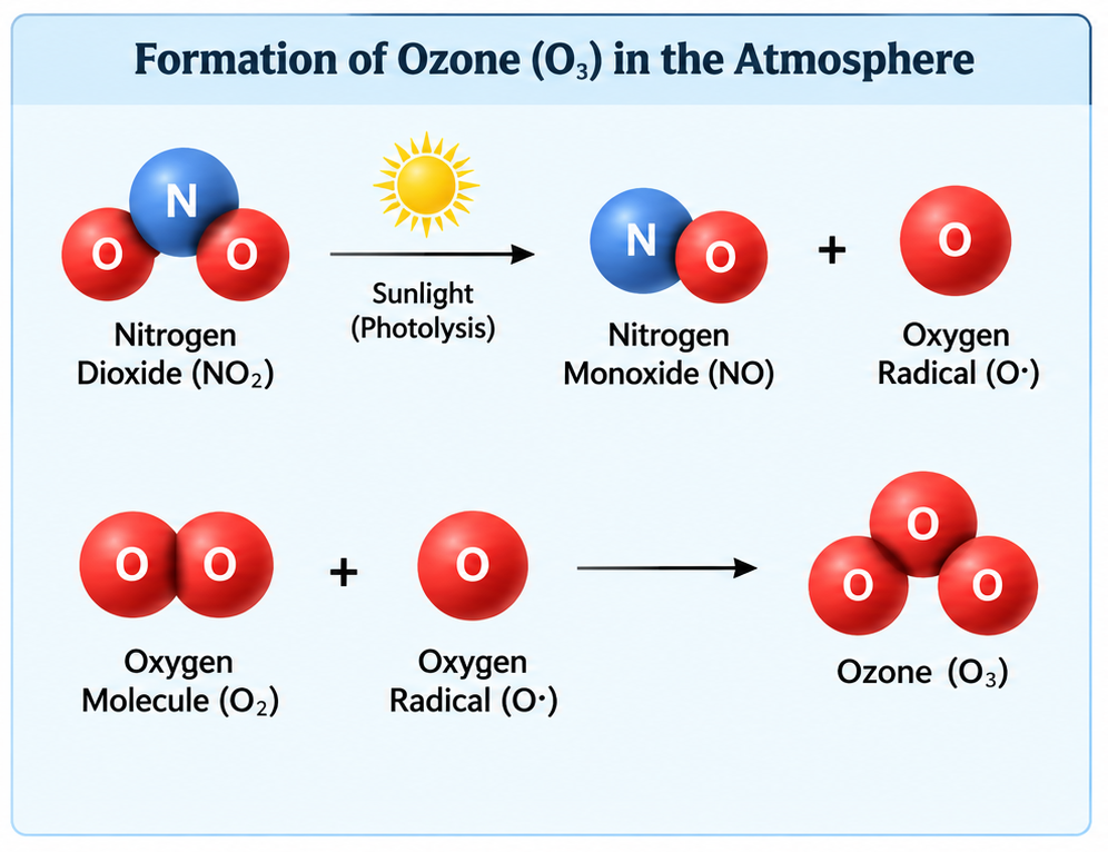 Ozone Formation