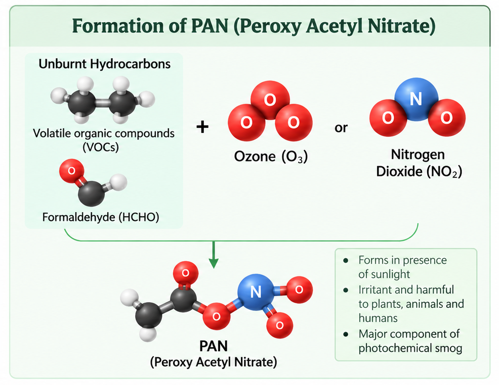 PAN Formation