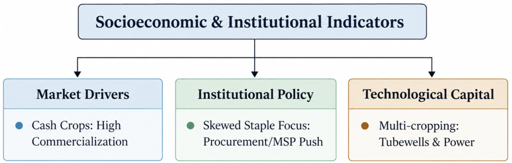 Socioeconomic Indicator