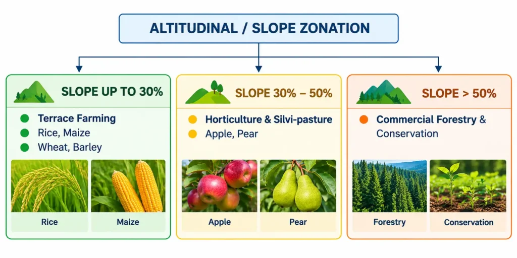 Altitudinal Slope Zonation