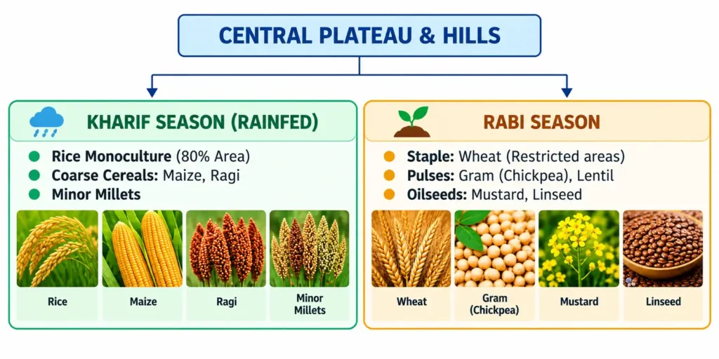 Central Plateau & Hills