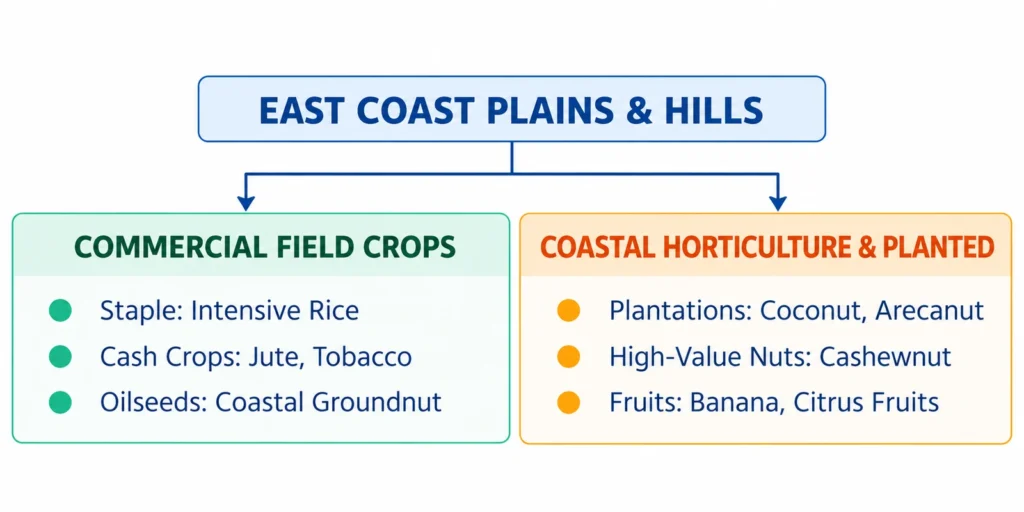 East Coast Plains & Hills