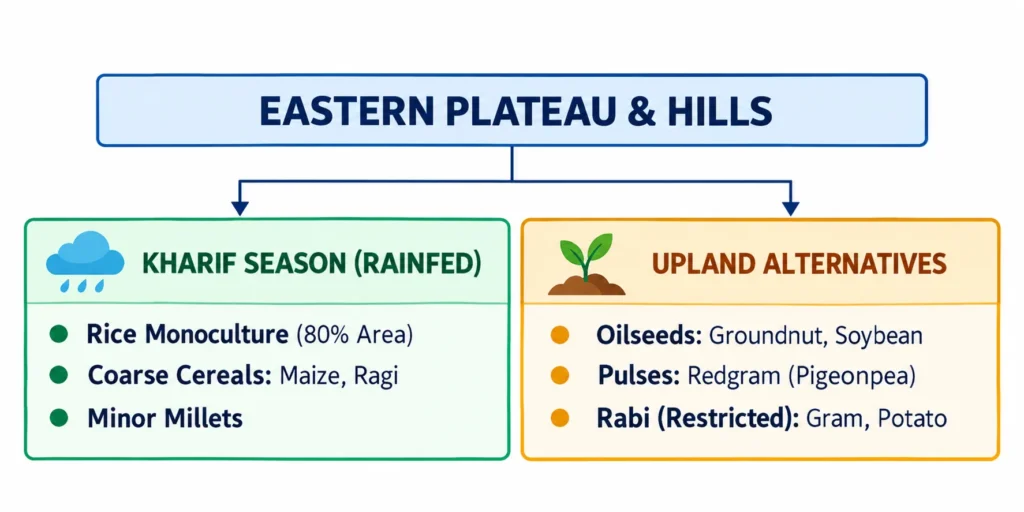 Eastern Plateau & Hills
