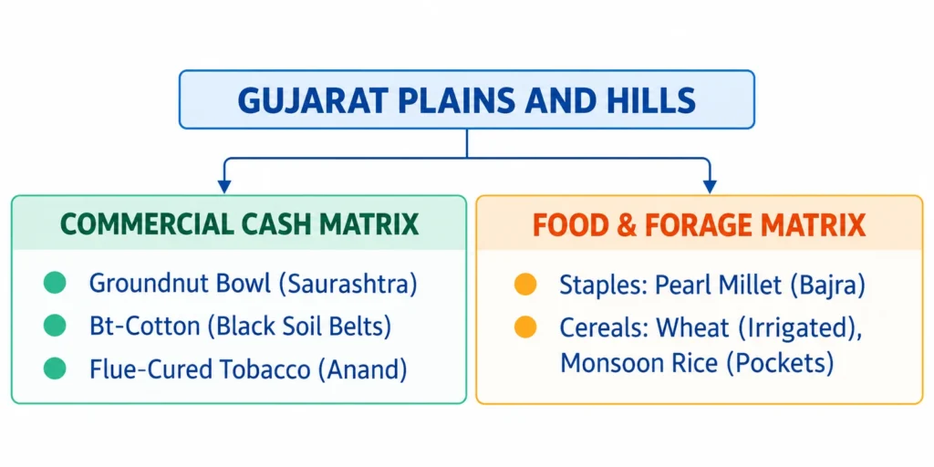 Gujarat Plains and Hills