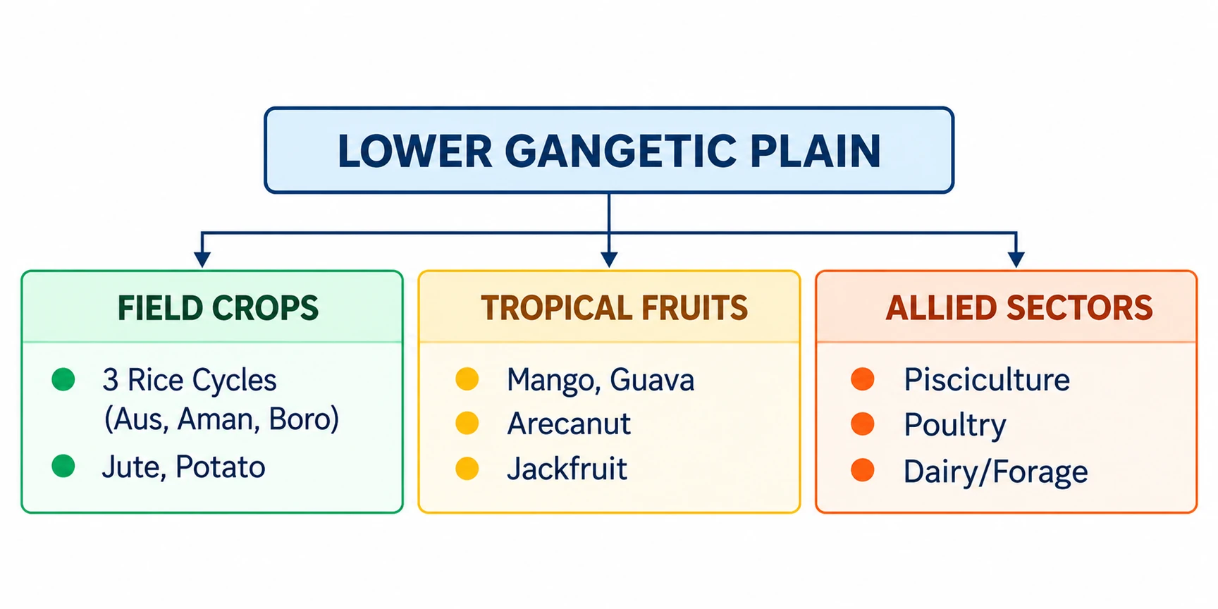 Lower Gangetic Plain