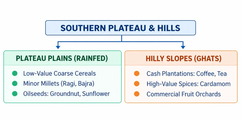 Southern Plateau & Hills