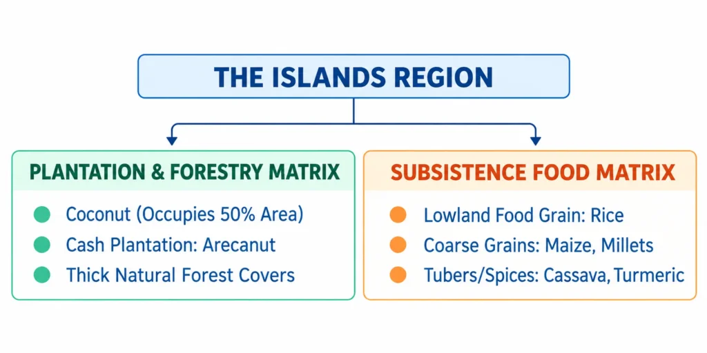The Islands Region