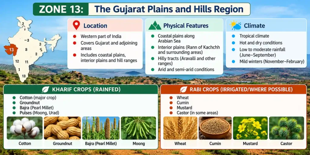 Zone 13- The Gujarat Plains and Hills Region